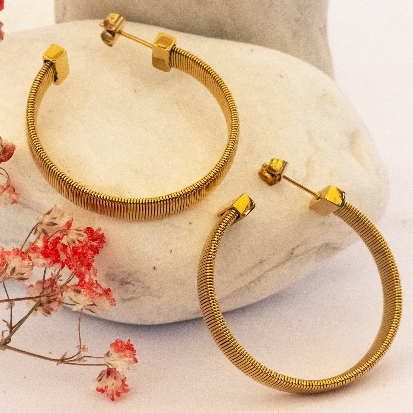 Argollas Tendencia