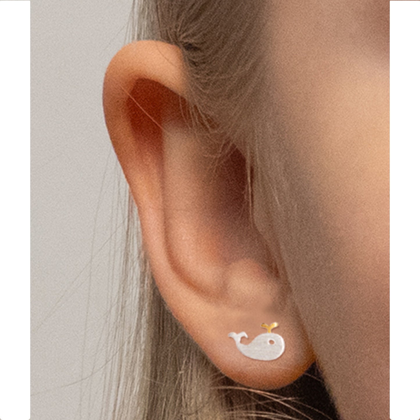 Aros Ballenita