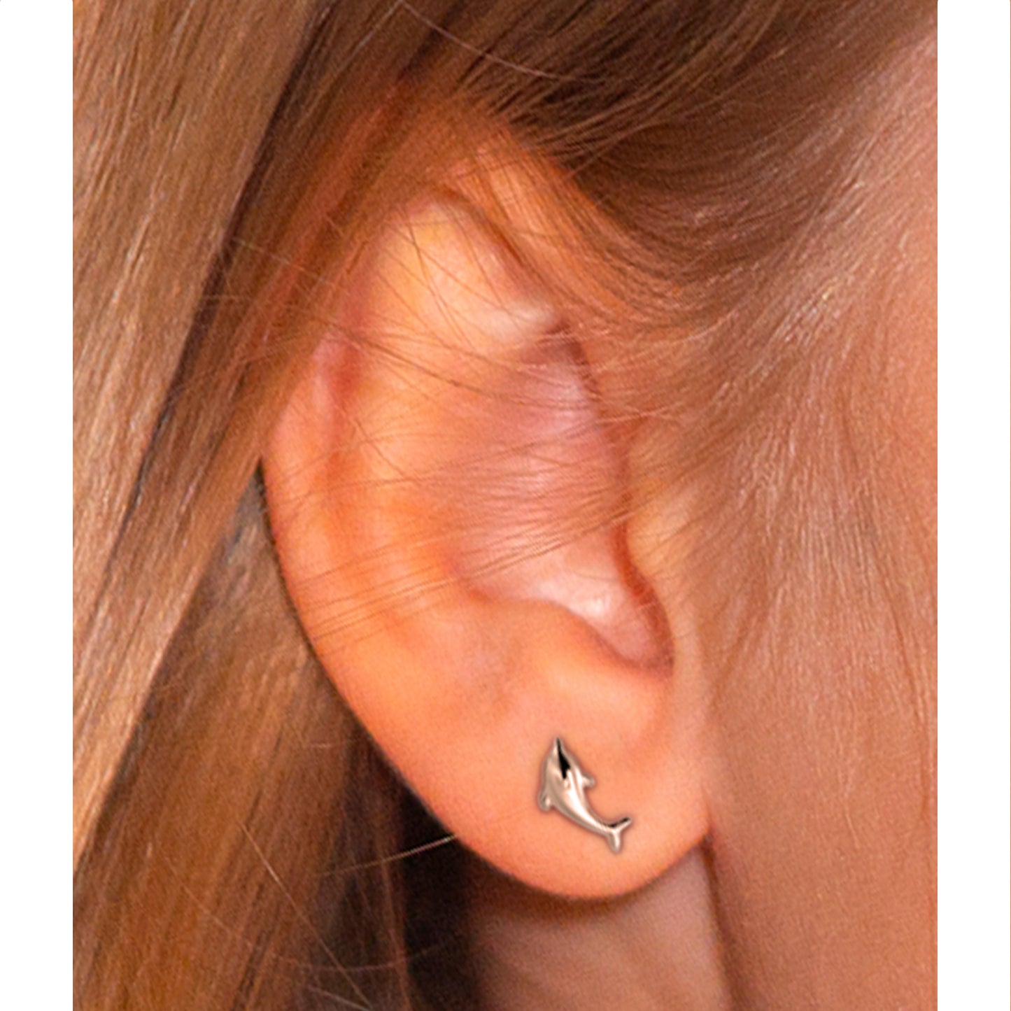 Aros Delfines Silver