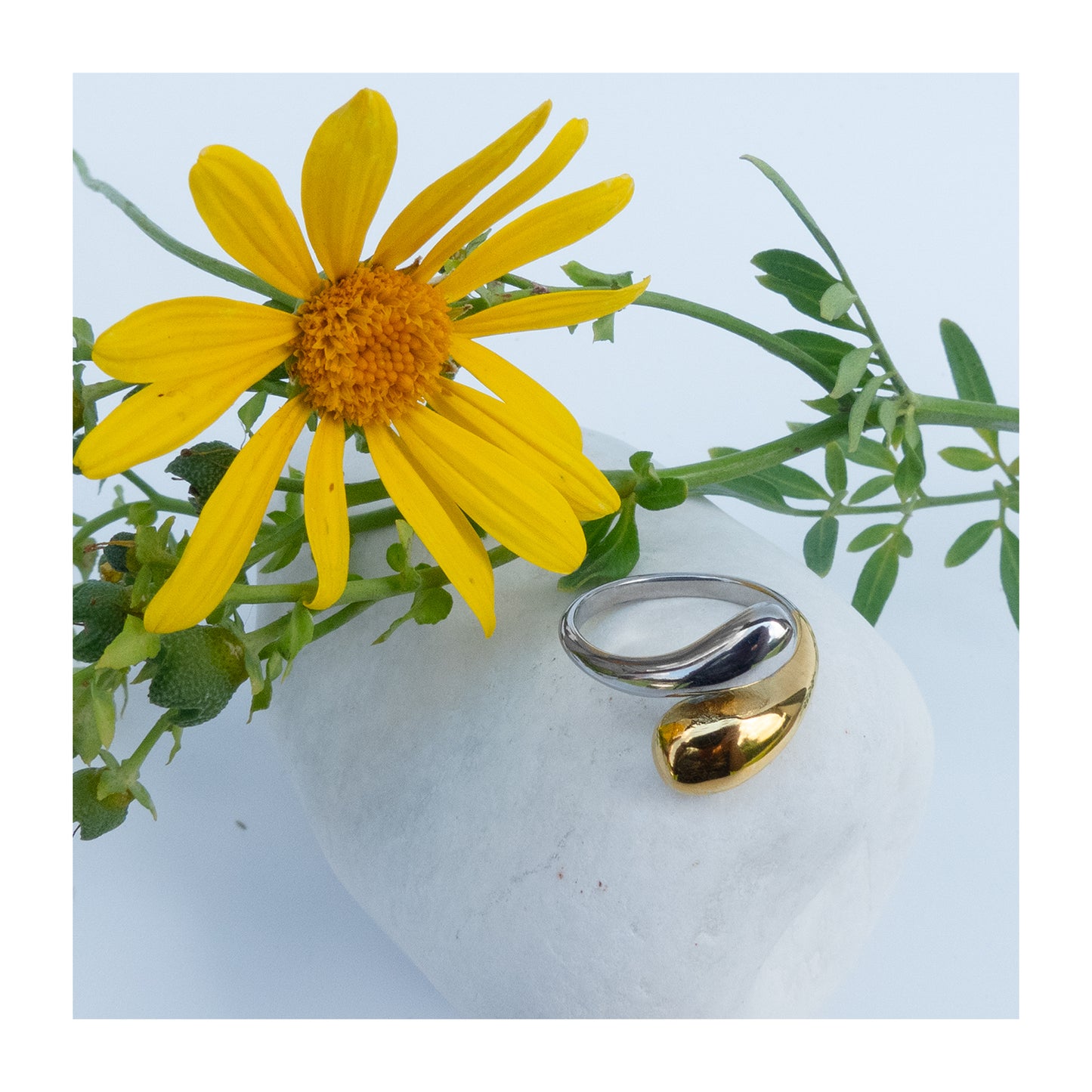 Anillo Reconciliación