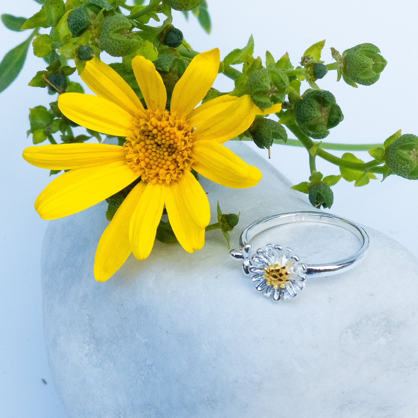 Anillo Margarita