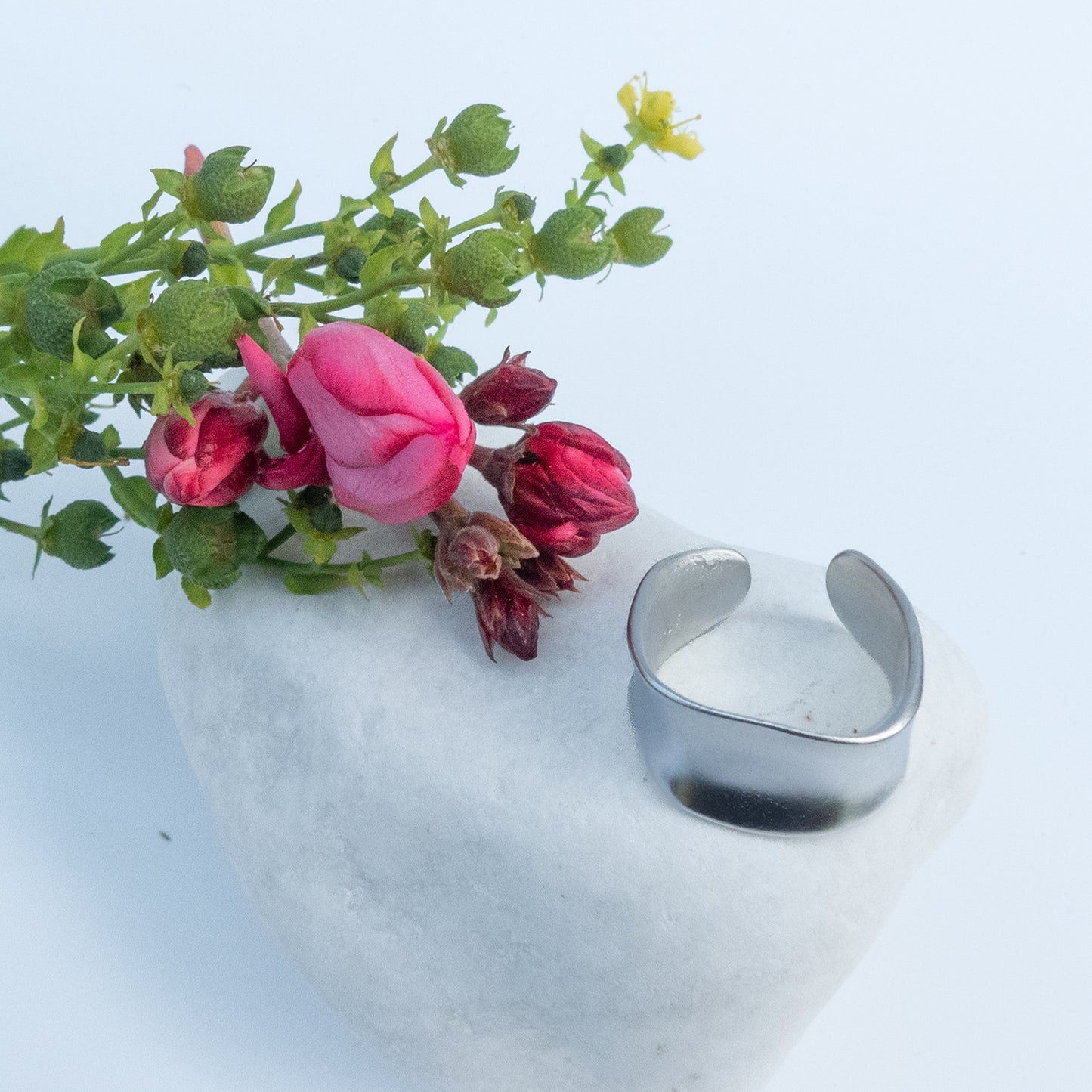 Anillo Lisa