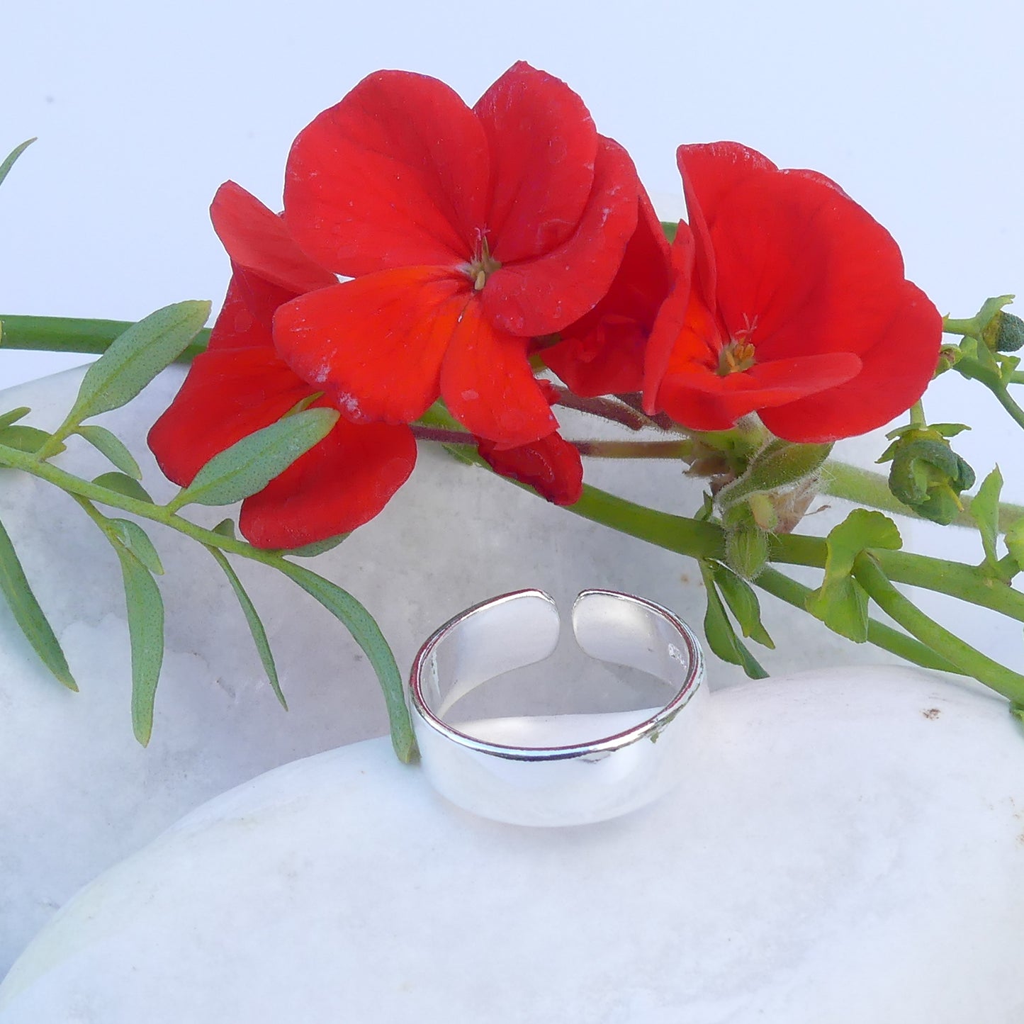 Anillo Alba