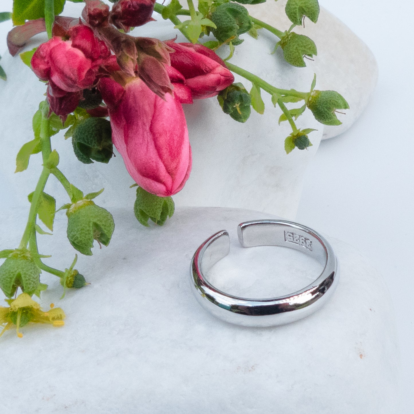 Anillo Luz