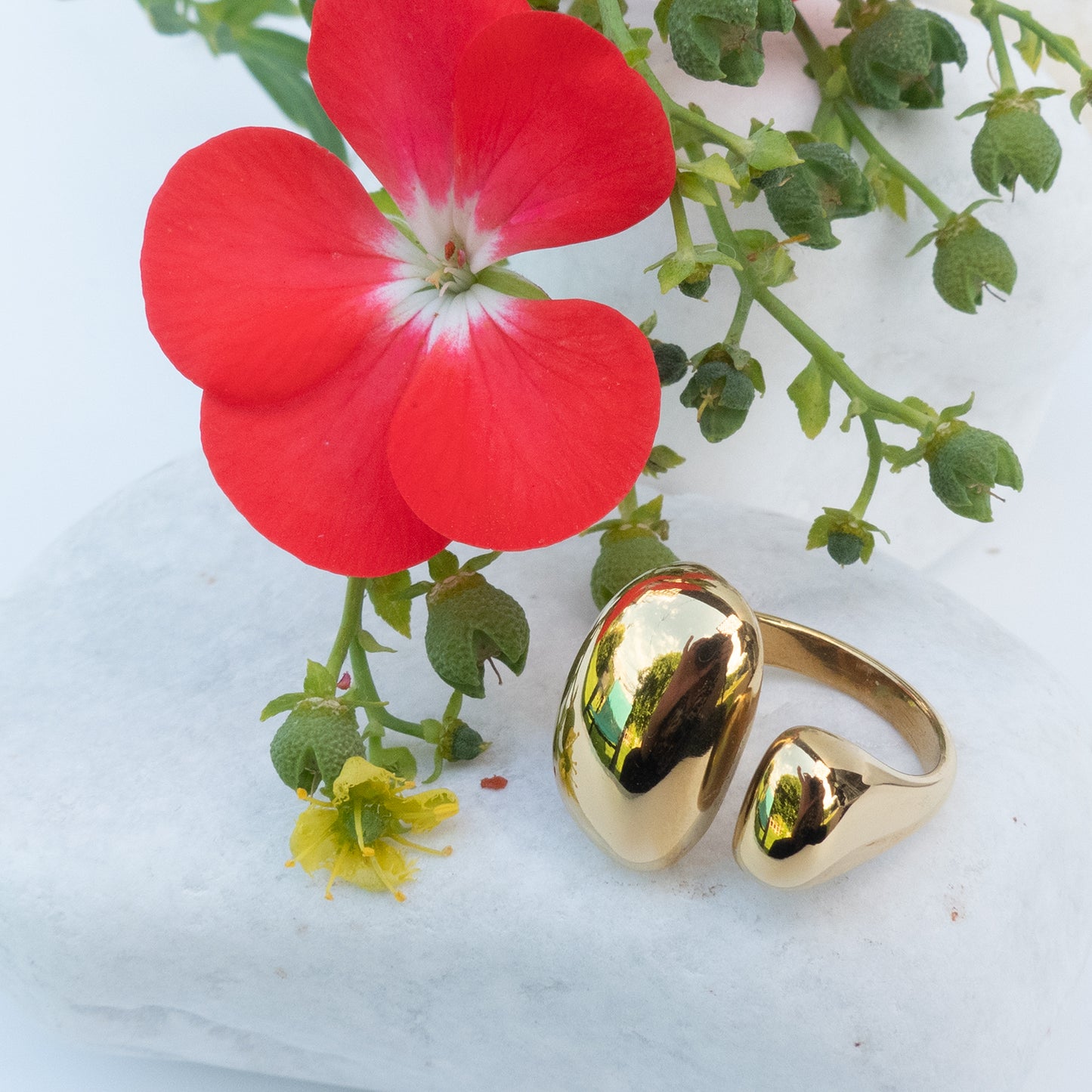 Anillo dorado abierto con doble óvalo sobre piedra blanca con flor roja