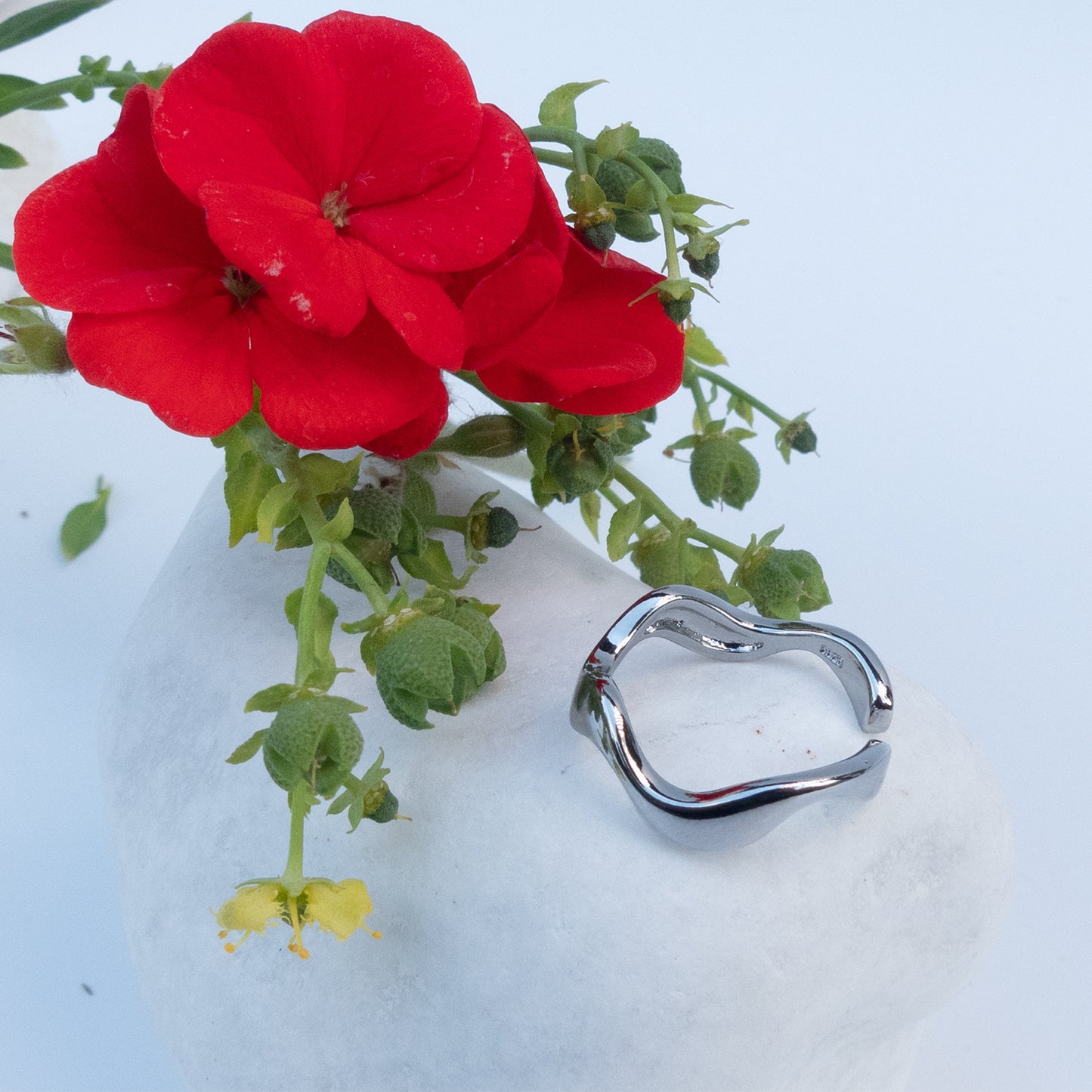 Anillo Mar
