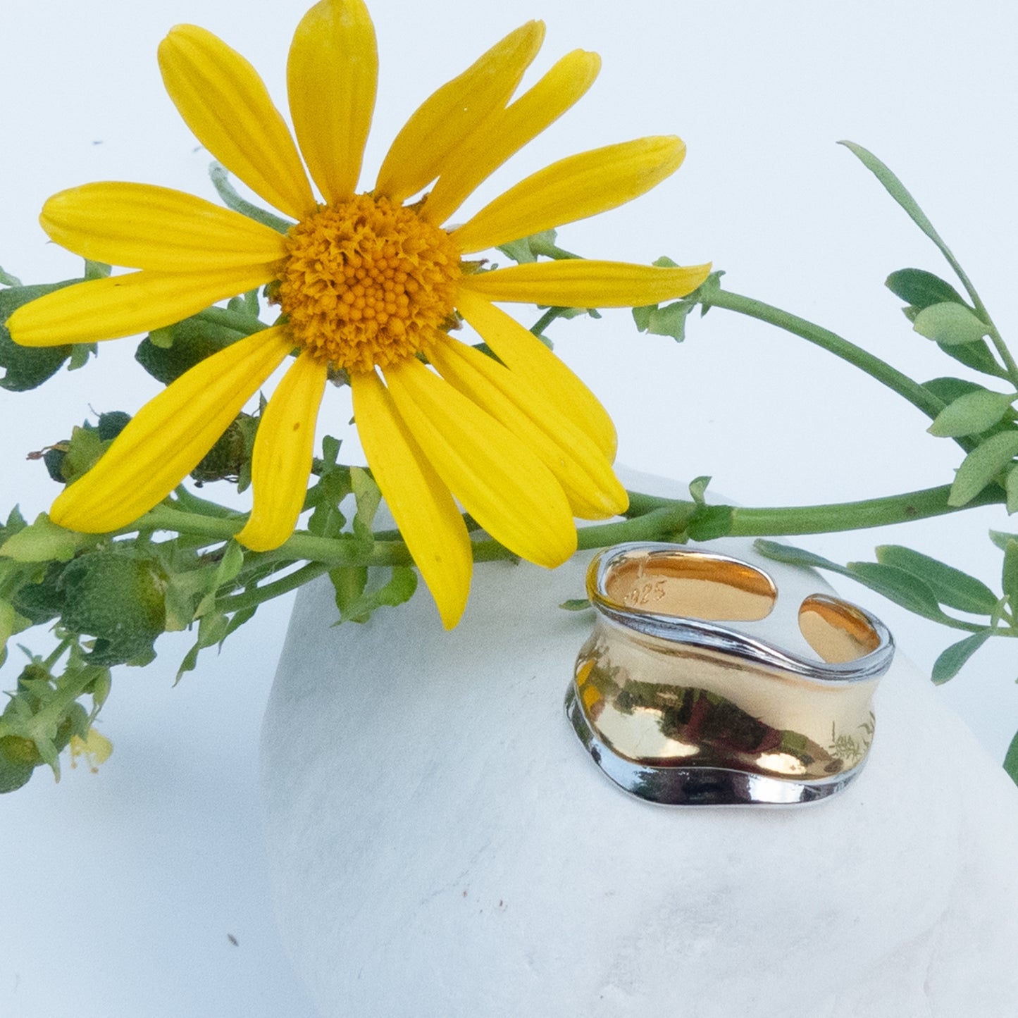 Anillo Lisa Bicolor